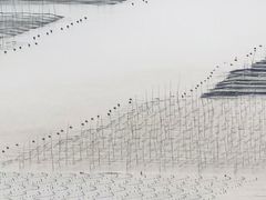 -小皓村