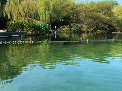 -西湖外事游船(花港观鱼码头)