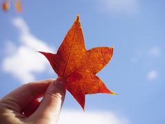 -香山公园-东宫门售票处