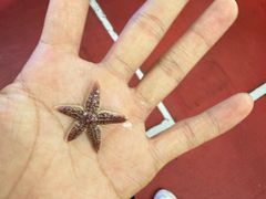 -鼓歌海鲜舫·手抓海鲜(大学城店)