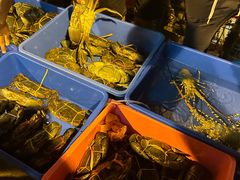 -仙本那小型鱼市