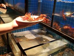 活龙虾旁边给的盆-五月罗马海鲜自助餐厅(陆家嘴店)