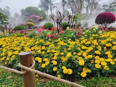 -东莞植物园