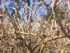 -长春公园(普阳街道)