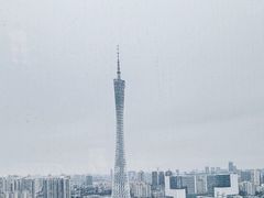 -广州富力丽思卡尔顿酒店