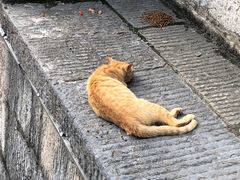 -长春观