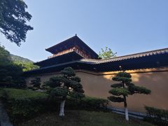 -习家池