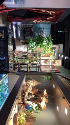 -周忆刺青原创设计定制