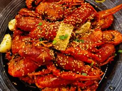 油焖大虾-肥肥虾庄·金牌油焖大虾(汉口城市广场店)