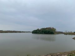 -东滩湿地公园观海楼餐厅