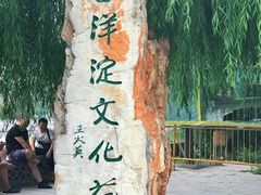 -白洋淀景区