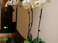 -丽晶轩中餐厅(重庆丽晶酒店)