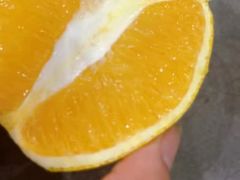 -丽丽水煮(顺外路店)