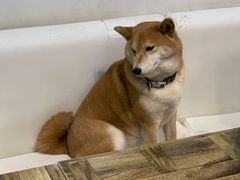 -小时光咖啡馆(北锣鼓巷店)