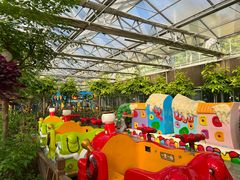 -南宫五洲植物乐园