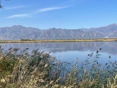 -野鸭湖国家湿地公园