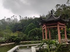 -广州神农草堂中医药博物馆