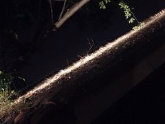 iphone_upload_pic-老房子金沙元年川菜食府·花园餐厅(金沙店)