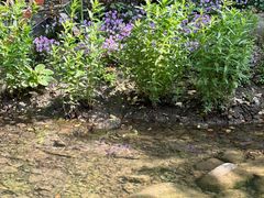 -徐家汇源景区-衡山公园