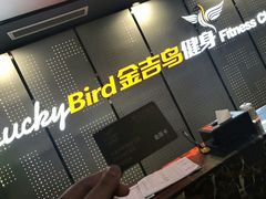 -金吉鸟健身游泳