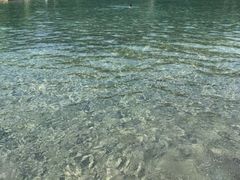 -柳浪游泳场