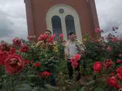 -都江堰玫瑰花溪谷