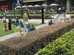 -Ameigo梅果·云贵川bistro(长宁来福士店)