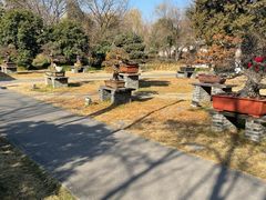 -扬州大运河文化旅游度假区·盆景园