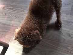-纳吉亚猫专科动物医院博雅分院