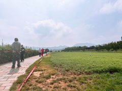 -君乐宝优致牧场