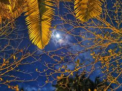 -三亚珠江南田温泉度假区