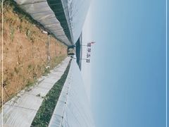 -庞各庄西瓜蔬菜采摘园·锦华瓜园