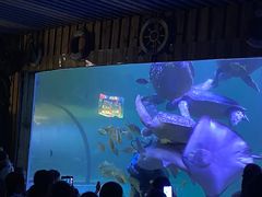 -左海海底世界