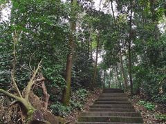 -凤栖山