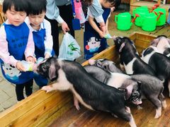 -湖南湘都生态农业园