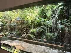 -漫·汤泉