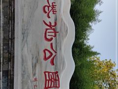-莲花池公园
