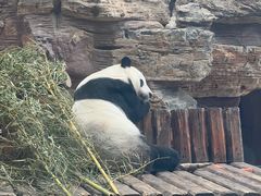 -石家庄极地海洋世界