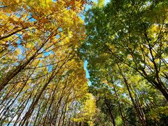 -长春市南湖公园