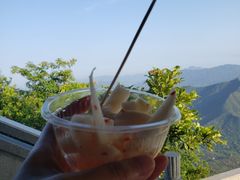 -梧桐山风景名胜区