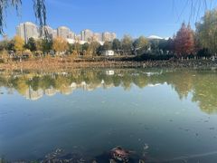 -滨湖塘西河公园