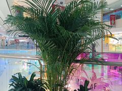 -北京华联购物中心(天通苑店)