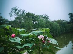 -木子山庄·安徽省老字号·中国炖锅宴