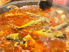 -石锅苗苗鱼(武汉首店)