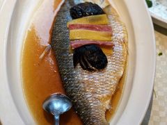 -望乡楼上海菜(日月光店)