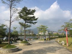 -飞来湖湿地公园