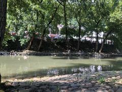 -四明山国家森林公园