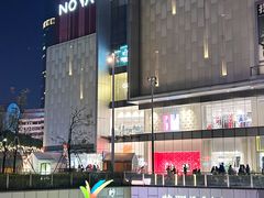 -岭南站NOVA