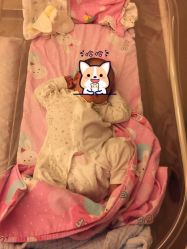 点击看大图 -重庆安琪儿妇产医院-妇幼保健联盟医院