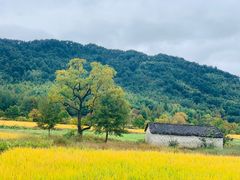 -塔川景区